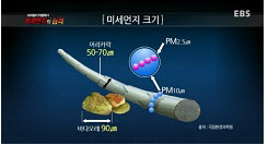 미세먼지 탓에 매년 2만명 조기 사망