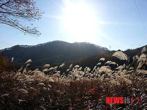 충북 제천 오감만족 여행