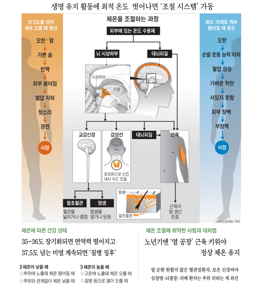 체온 이미지