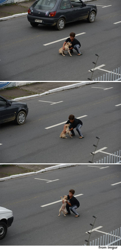 사진이 안보이면→ 우측클릭→ 사진보기 클릭,) OK. 작성: 한국 네티즌본부 카페