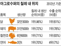 아그로수퍼의 칠레 내 위치