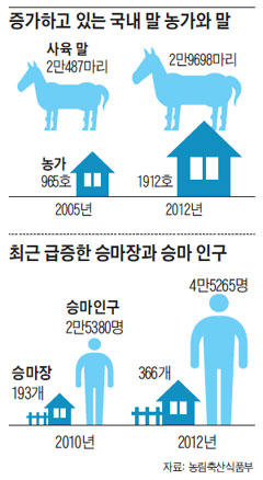 
	증가하고 있는 국내 말 농가와 말. 최근 급증한 승마장과 승마 인구.
