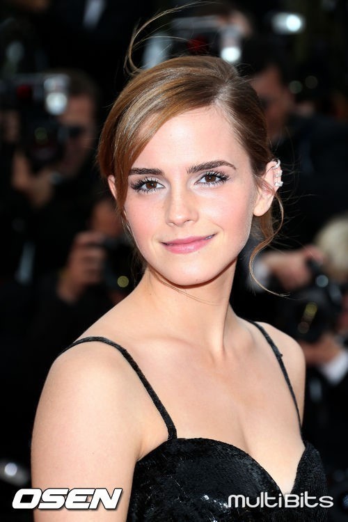 
 엠마 왓슨, 일본계 남자친구와 2년만에 결별
