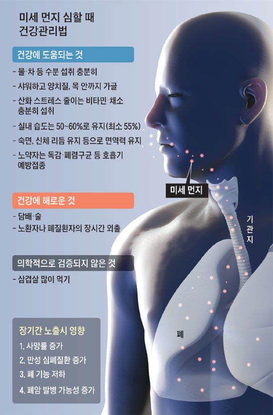 
		미세 먼지가 심할 때 건강관리법.
