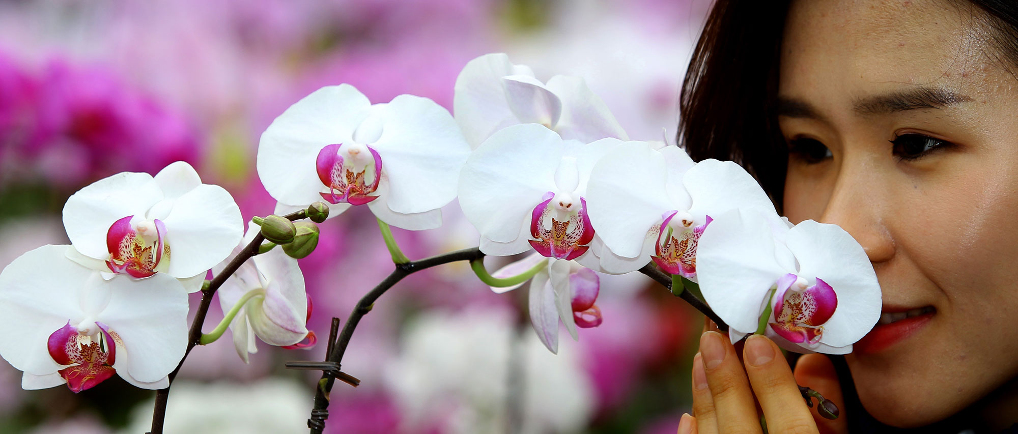 사진이 안보일 때→우측클릭→'사진보기' 클릭, OK. ☞작성: Daum카페: 한국 네티즌본부