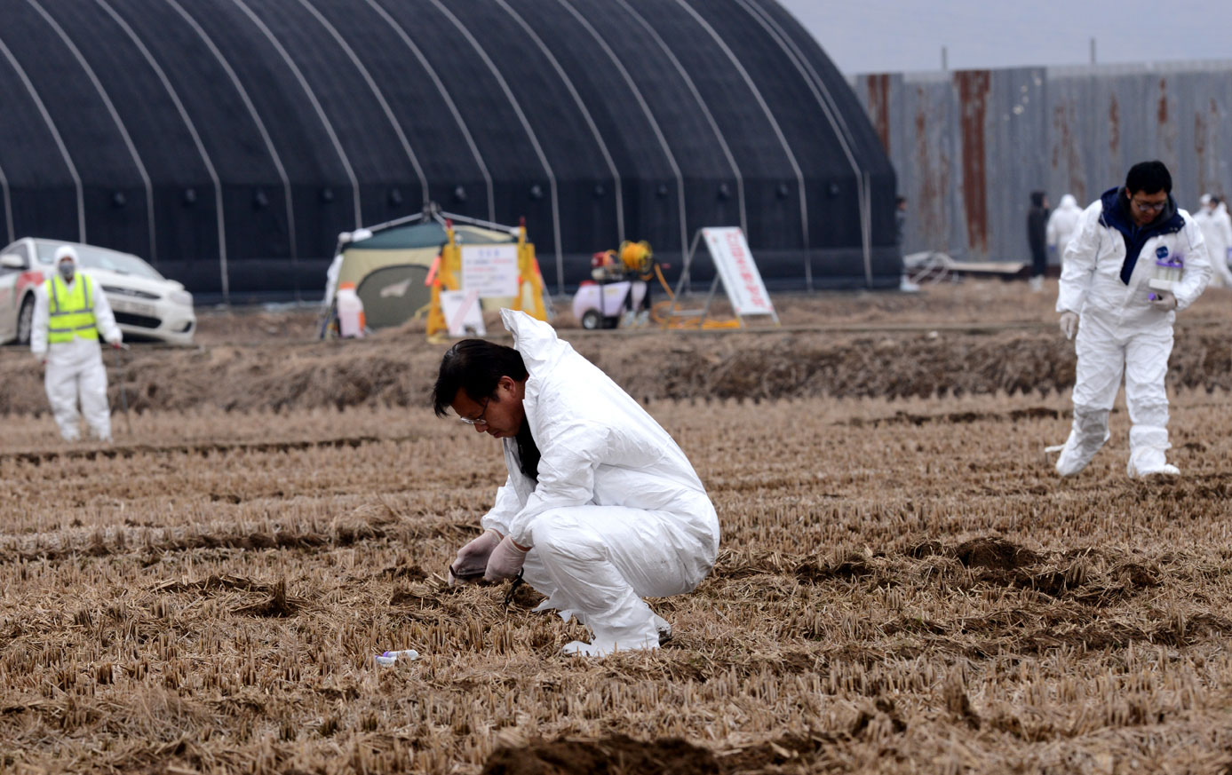 사진이 안보일 때→우측클릭→'사진보기' 클릭, OK. ☞작성: Daum카페: 한국 네티즌본부