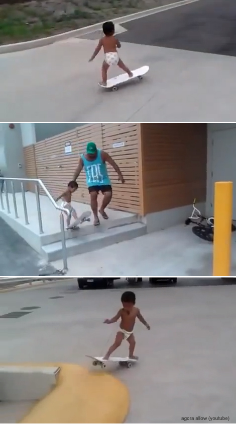 보더 이미지