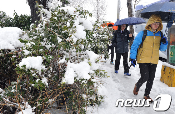 폭설 내린 울산, 모든 초·중학교 임시휴업