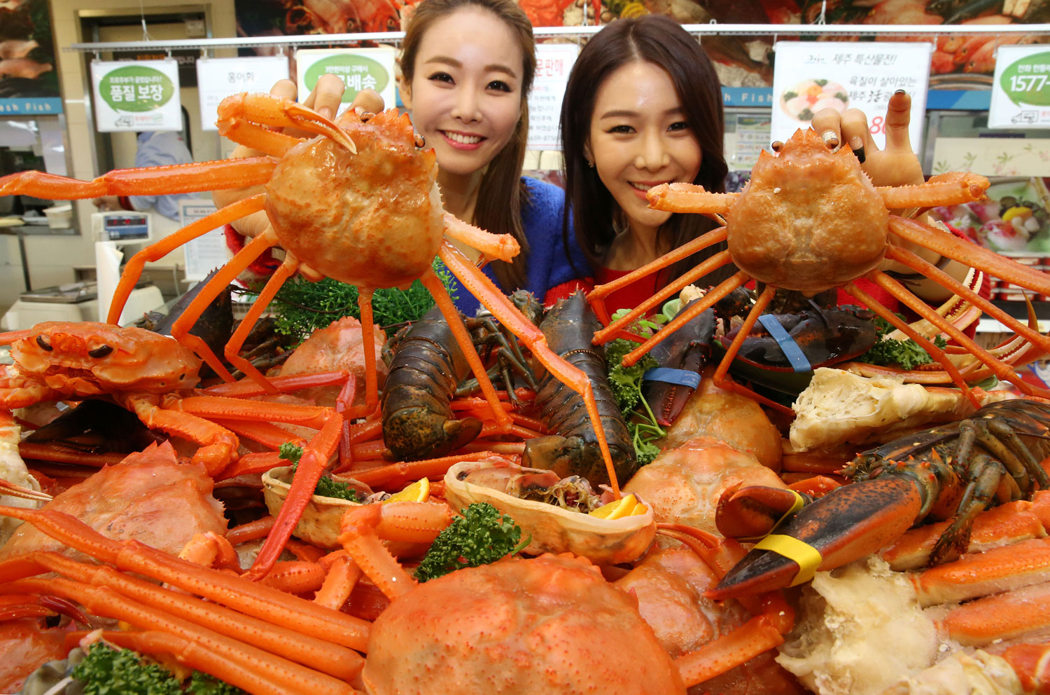 사진이 안보일 때→우측클릭→'사진보기' 클릭, OK. ☞작성: Daum카페: 한국 네티즌본부