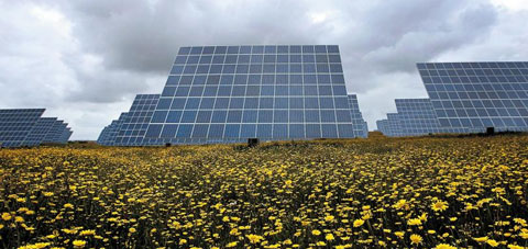 포르투갈 아마렐레자(Amareleja) 지역에 스페인의 신재생에너지 기업 악시오나(Acciona)가 세운 태양광발전 설비. 2.5㎢(약 76만평)의 대지에 태양전지를 빽빽이 배치해 3만가구가 이용할 수 있는 시간당 93기가와트(GW)의 전력을 생산한다.