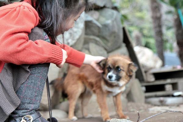 산골에 오는 봄풍경인 듯, 따스하고 정겨운 공곶이 봄풍경
