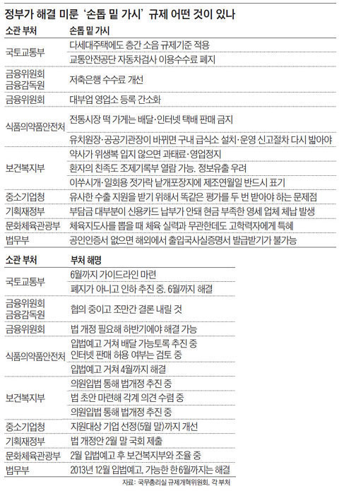 
	정부가 해결 미룬 '손톱 밑 가시' 규제 어떤 것이 있나.
