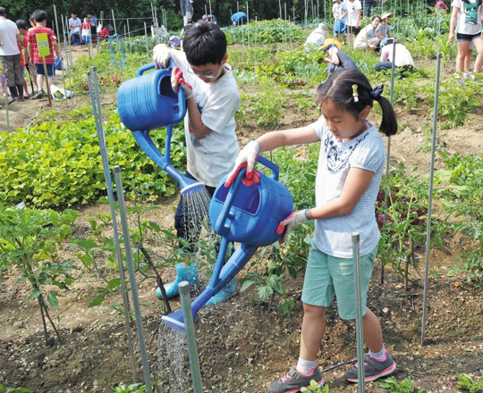 직접 심은 작물 끝까지 돌보고 친구도 도와줘 엄마·아빠, 일주일에 하루 흙에서 놀아요!