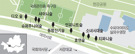 여의도 '소녀시대 숲' 아세요?