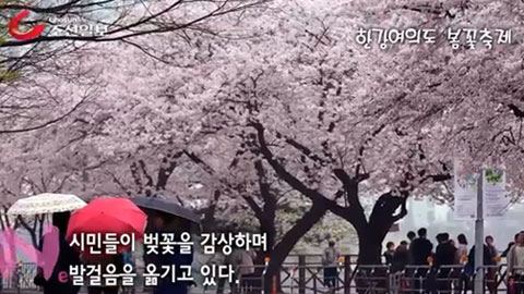 video_0
