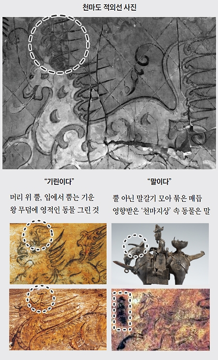 자작나무 껍질에 그린 천마도의 적외선 사진(사진 위). 정수리 위에 우뚝 솟은 반달 모양의 뿔이 보인다. 전호태 교수는 “고구려 장천1호분(사진 아래 왼쪽 위)과 삼실총(사진 아래 왼쪽 아래)의 기린을 합해 놓은 도상”이라고 했다. 반면 국립경주박물관은 경주 금령총에서 출토된 기마인물형 주자(사진 아래 오른쪽 위)처럼 뿔이 아니라 갈기를 묶은 매듭이라고 했다. 고구려 덕흥리 고분벽화(사진 아래 오른쪽 아래)에 ‘천마지상(天馬之像)’이라고 쓰여진 천마 그림이 영향을 주었을 것이라는 입장이다.