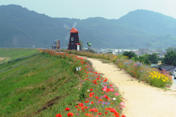 경남 함안군에 위치한 이곳은 한국에서 가장 긴 둑길이다.