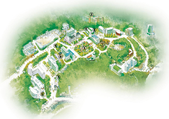 [동국대학교] 하늘마루… 만해 詩碑… 동국대 캠퍼스의 명소들