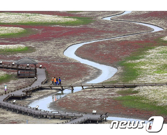 증도모실길./사진제공=신안군© News1