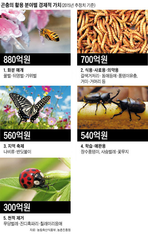 곤충의 활용 분야별 경제적 가치