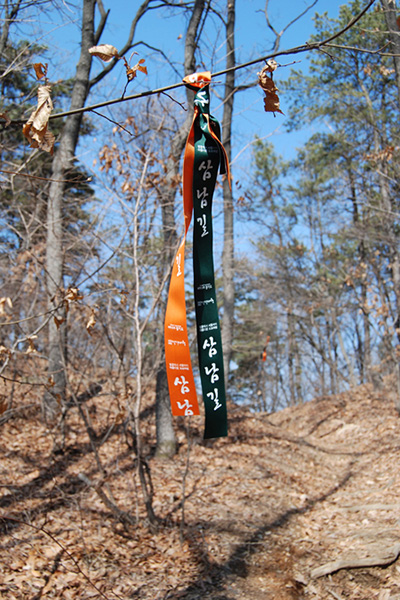 삼남길 리본.