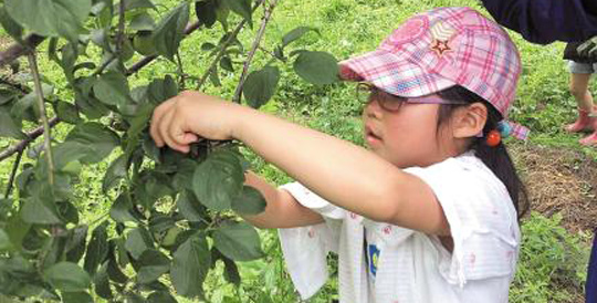 흙 만지며 창의 인성 배워요