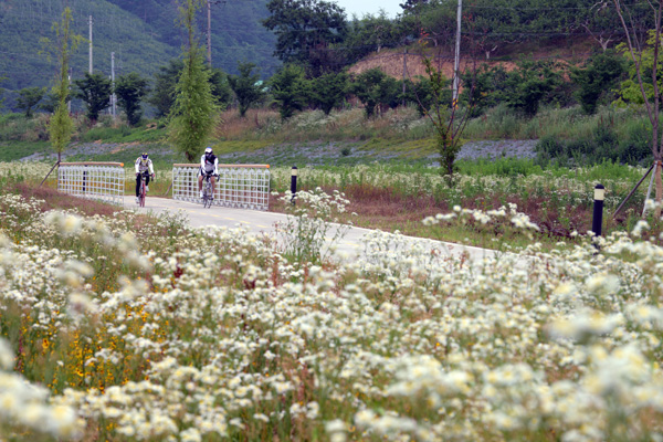 유등리 벽화마을은 낙동강 자전거길에 속해 있어 자전거를 타고 마을의 벽화를 감상할 수 있다.