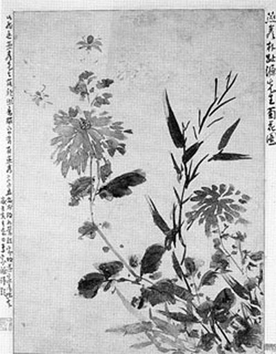 연암이 그린 국죽도.