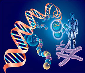 생명 진화의 역사를 담고 있는 DNA.
