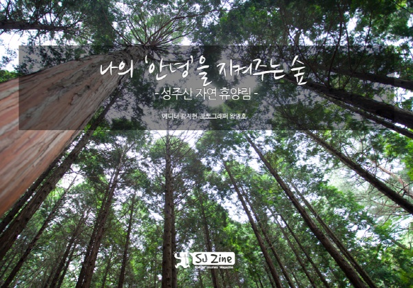 성주산자연휴양림 이미지