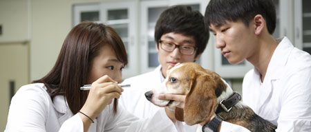 [건국대학교] 동물 백신 분야 자회사 설립 계획… 세계 5위권 수의과대학 진입할 것