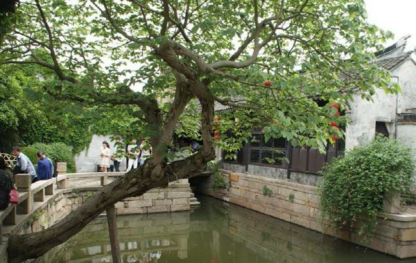 수향 이미지