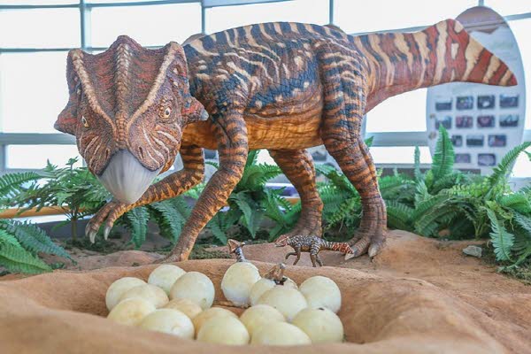 한반도 최초 뿔공룡 <코리아케라톱스 화성엔시스>