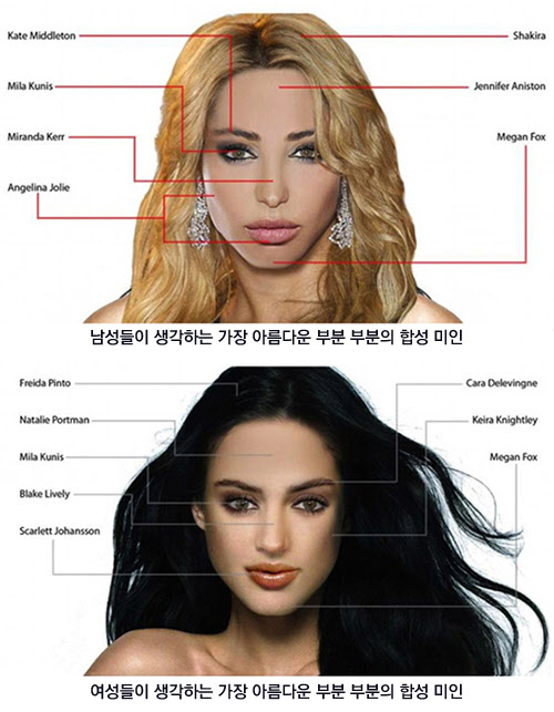 세상에서 가장 아름다운 여인의 얼굴