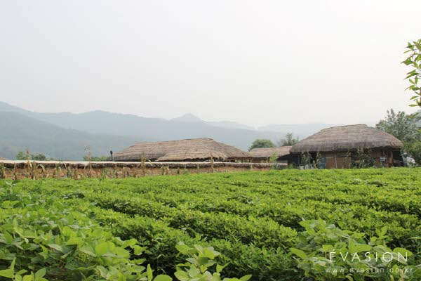 유유자적(悠悠自適), 안동 고택으로의 힐링 여행