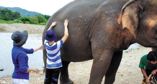 2012년 7월 태국 치앙마이 코끼리 자연공원를 찾은 청주맹학교 학생이 코끼리를 만져보고 있다.