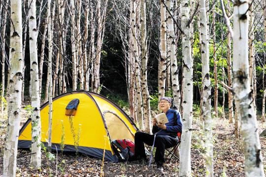강원도 홍천 오대산 기슭 자작나무숲에 텐트를 친 박상설씨가 책을 읽으며 캠핑을 즐기고 있다.