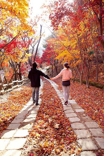 드라마 '괜찮아, 사랑이야' 촬영지! 대구 '허브힐즈'