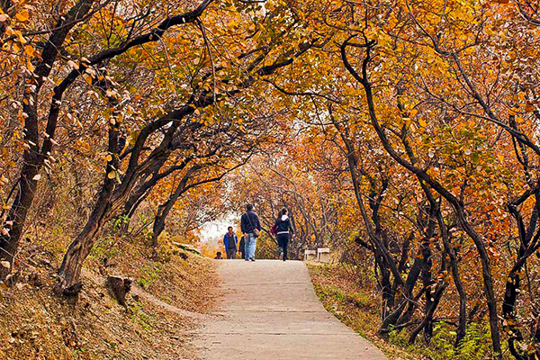 가까운 거리에 비해 비교적 한적한 백망산 삼림공원.