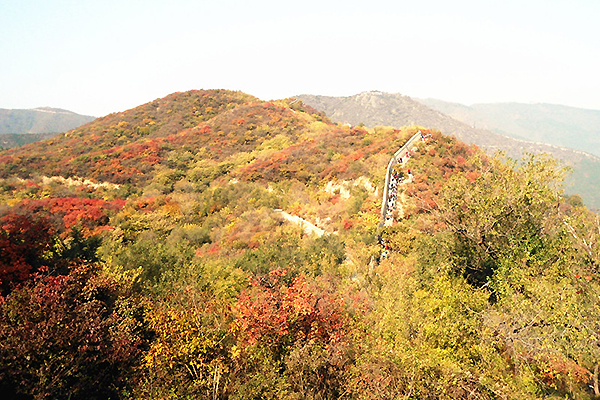 등산로가 잘 정비되어 있어 오르기 수월한 산방산.