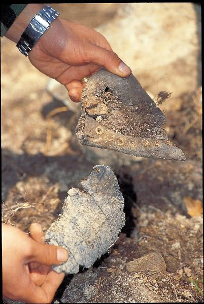 6.25 최후의 방어선이자 최대 격전지였던 낙동강 일대. 지난 2000년 4월, 6.25 50주년 기념사업으로 추진된 전사자 유해발굴작업 도중 다부동 현장에서 발견된 군화 조각.