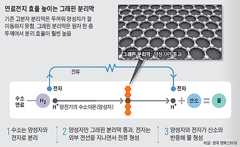 
	연료전지 효율 높이는 그래핀 분리막 설명 그래픽
