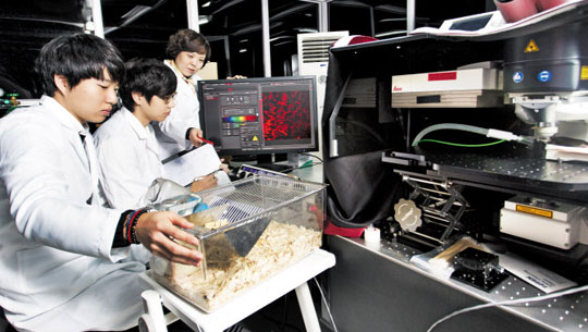 [성균관대학교] 성균관대 7개 특성화 학과