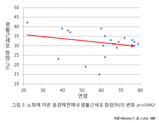 나이가 들어 '남성'이 작아지면 기능은?