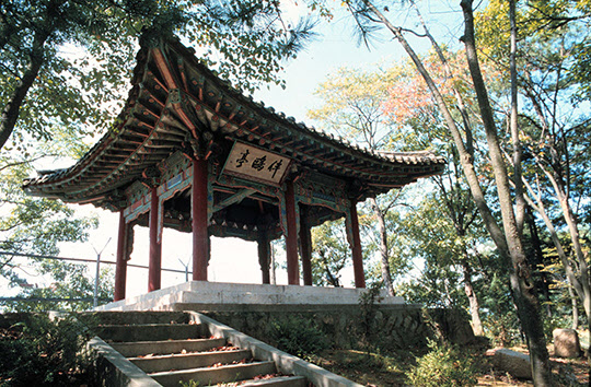 경기도 파주시 문산읍 사목리에 있는 조선시대의 누정 반구정. 황희가 87세의 나이로 18년간 재임하던 영의정을 사임하고 관직에서 물러난 후 갈매기를 벗삼아 여생을 보낸 곳이다./조선일보DB