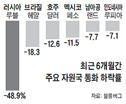 
	최근 6개월간 주요 자원국 통화 하락률 그래프
