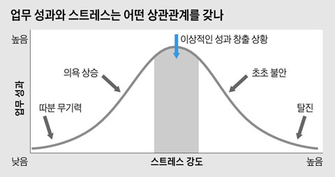 업무 성과와 스트레스는 어떤 상관관계를 갖나