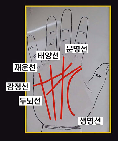 김정은과 김정남 손금보니 엇갈린(?) 운명이었다··· 박대통령은?