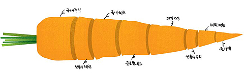 기사 관련 그래픽