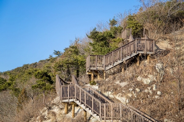 바다에서 산으로 이어지는 대부해솔길